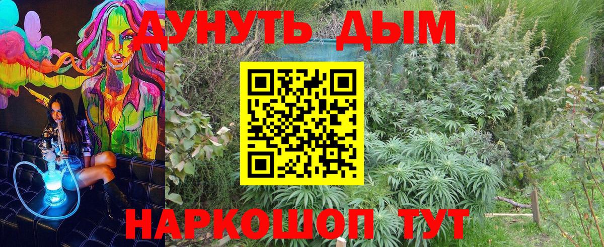 Ялта  Каннабис Bruce Banner  Вход с VPN  Шишки марихуана сатива  Конопля Bruce Banner 